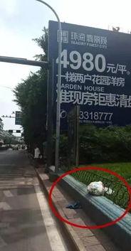 今日自贡大爆料,揭秘今日热点事件背后的真相 第1张 今日自贡大爆料,揭秘今日热点事件背后的真相 第1张